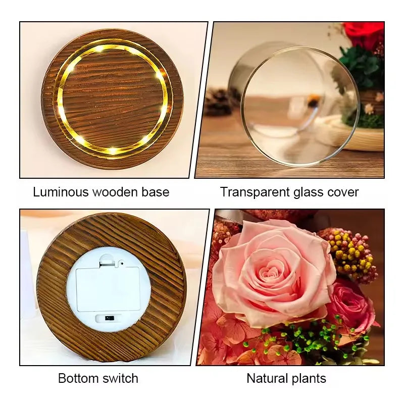 Valentine's Day Gift for Girlfriend Eternal Preserved Rose Flower Gift Box Teddy Bear Eternal Flower with Lights Gift for Women